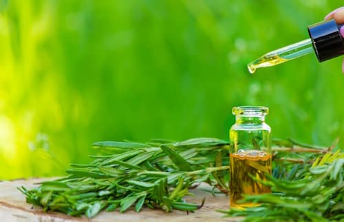 5 Reasons to Use Tea Tree Oil for Butt Acne