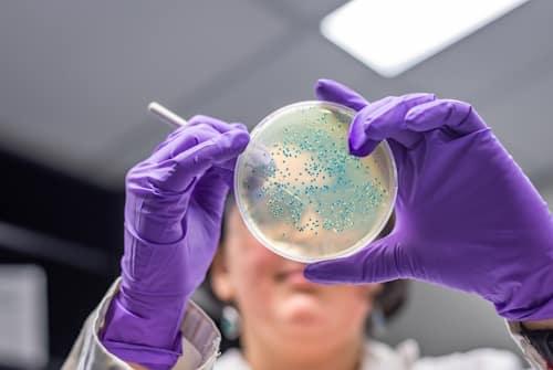 Clindamycin for Acne: A Secret Weapon to Clearer Skin?