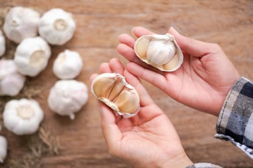 5 Reasons You Should Not Use Garlic for Acne