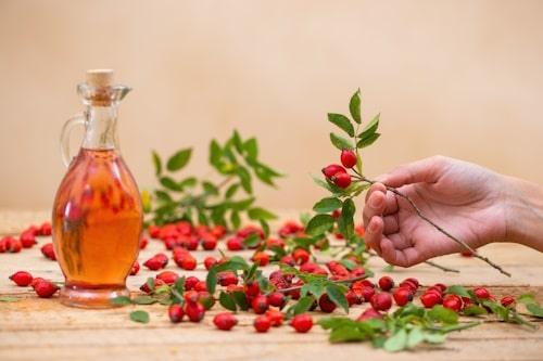 6 Reasons Why Rosehip Oil for Acne Is a Bad Idea