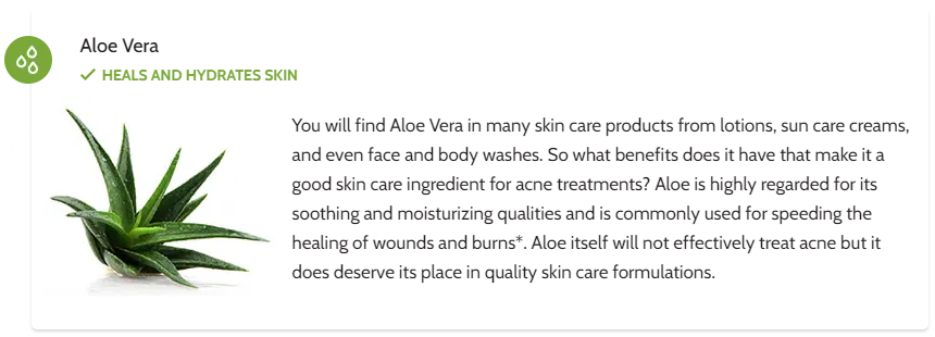 Exposed Skin Care Ingredients - Aloe Vera