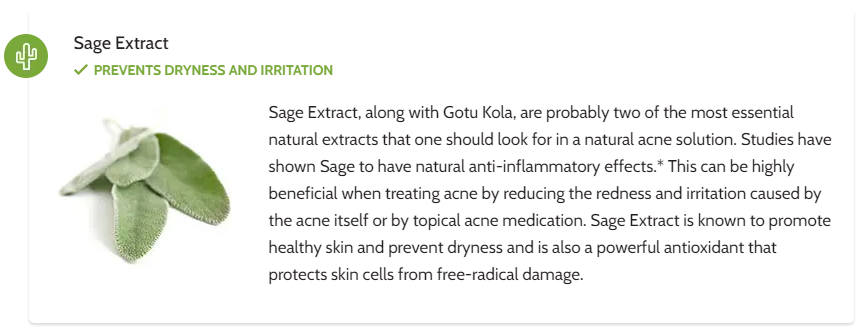 Exposed Skin Care Ingredients - Sage Extract